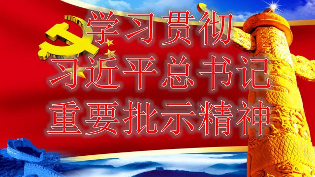 市五院召開(kāi)專題會(huì)議學(xué)習(xí)貫徹習(xí)近平總書(shū)記重要批示精神-珠海市第五人民醫(yī)院